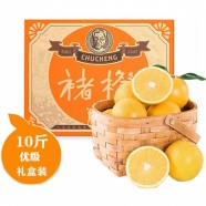 应季水果--褚橙1箱（约10斤）